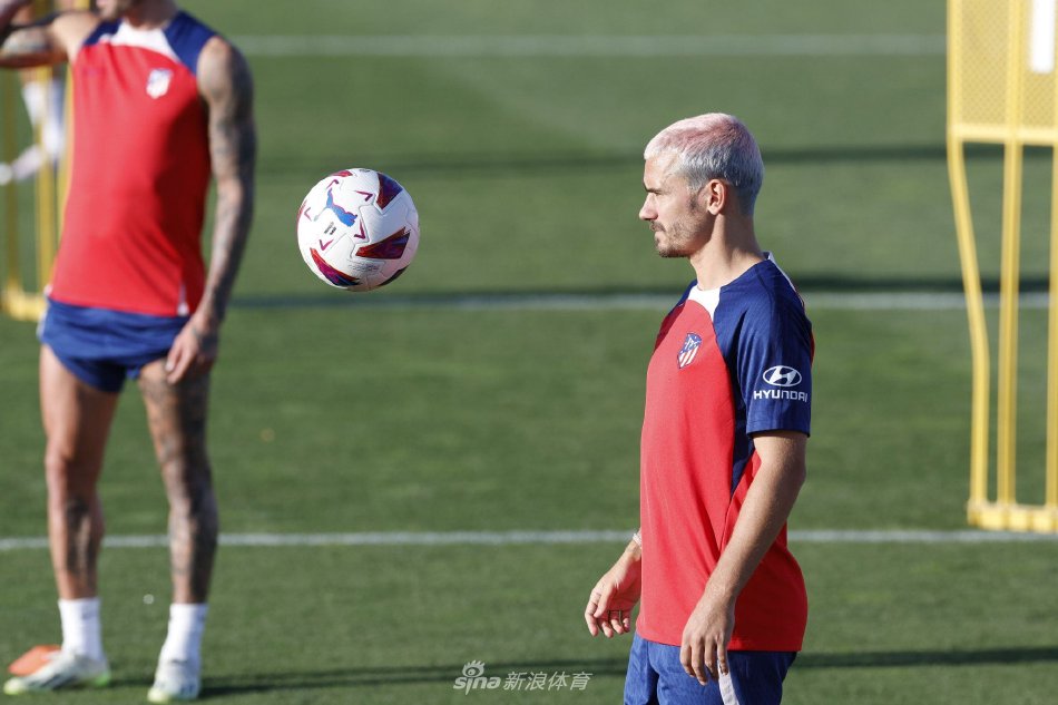 的律师费 的律师费